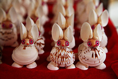 探索貝殼工藝品的選購之旅 價格、專賣店與購買渠道全攻略